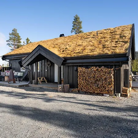 Nesfjellet Nesbyen