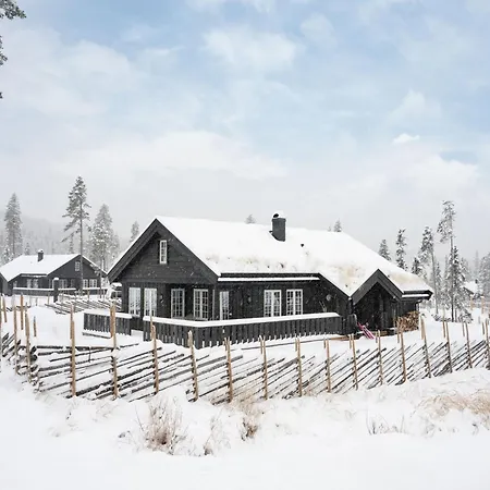 Ferienhaus Nesfjellet Nesbyen