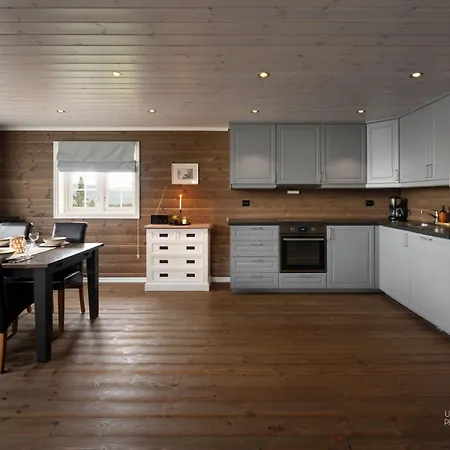 Ferienhaus Nesfjellet Nesbyen