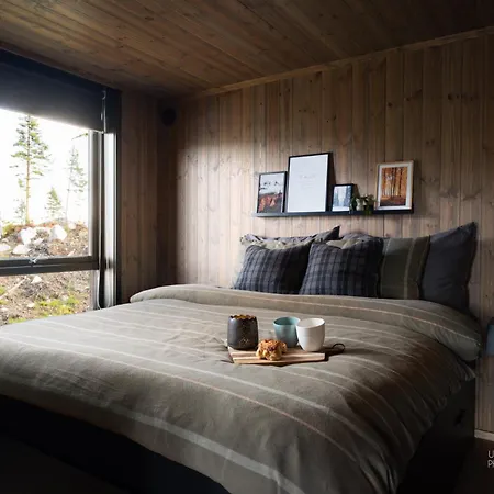 Ferienhaus Nesfjellet Nesbyen