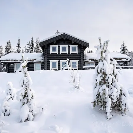 Сasa de vacaciones Nesfjellet *