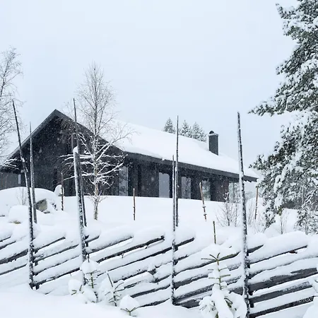 Nesfjellet Nesbyen