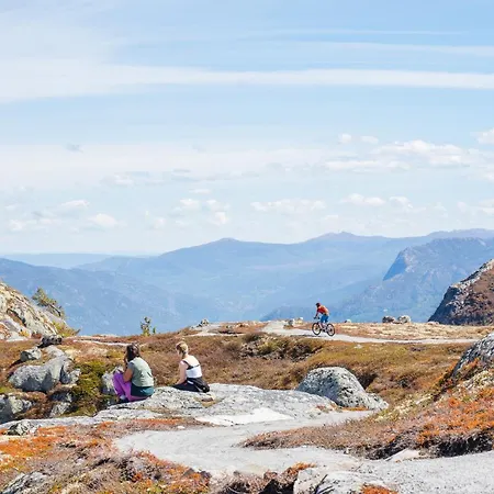 Nesfjellet 内斯比恩