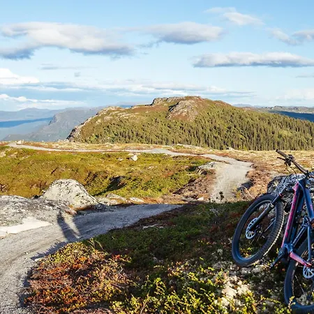 Nesfjellet Nesbyen