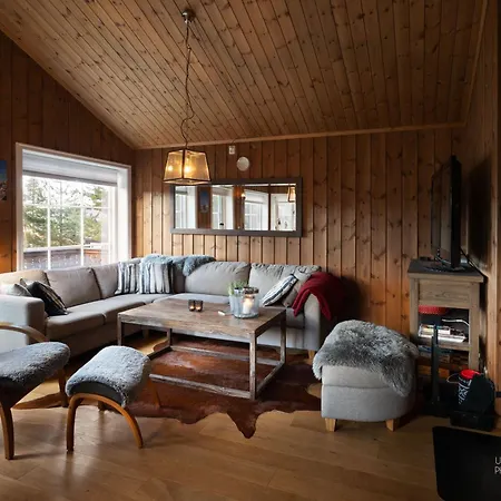 Nesfjellet Ferienhaus Nesbyen