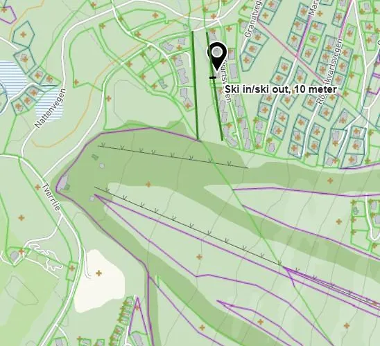 Feriehus Nesfjellet Nesbyen