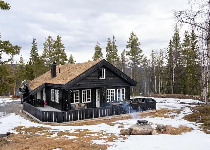 Feriehus Nesfjellet Nesbyen